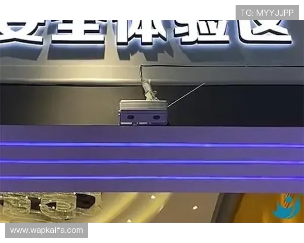 凯发网娱乐会员登录入口官网安全保障措施分析