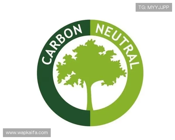 凯发集团旗下公司名单中的创新企业及其未来发展方向