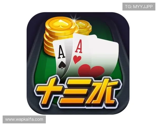 十三水的游戏规则详尽介绍让你快速掌握玩法技巧提升游戏体验